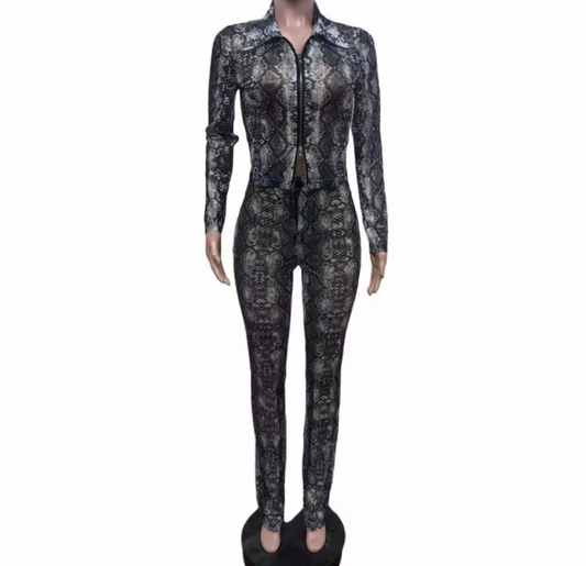 Wild One Snakeskin Pants Set